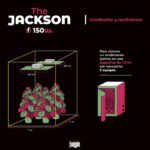 Jungle-Jack.-text.02.jpg