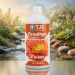 GHE T.A. FinalPart (Ex-Ripen)