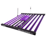 Lumatek 3.1 1000w-Xtreme Co2.02
