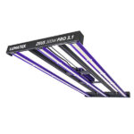 Lumatek 3.1 300w.01