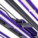 Lumatek 3.1 300w.04